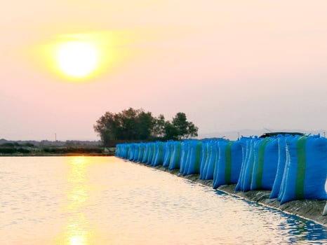 Sacks containing salt lined the edge of the pond or salt mine, taken in Madura Indonesia on May 15, 2022 photo