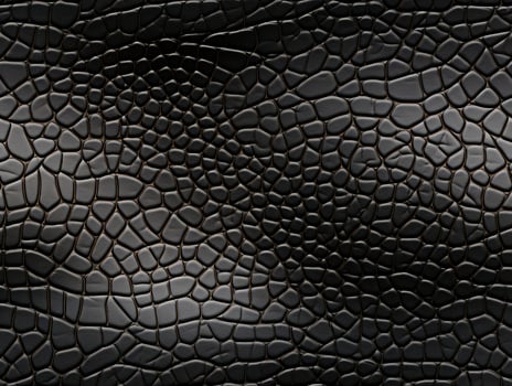 Textured surface of black leather photo