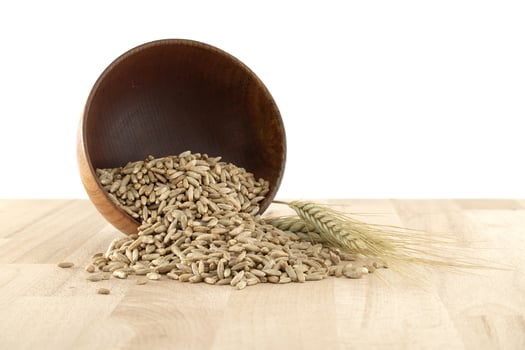 Pile of rye grains spilling from a bowl with rye stalks photo