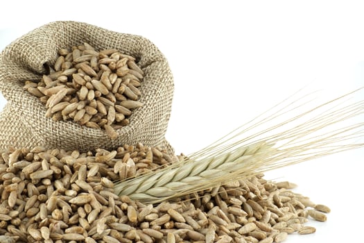 Closeup of rye grains for natural food and agriculture background photo