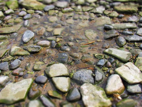 a puddle of water on the ground with rocks and gravel photo