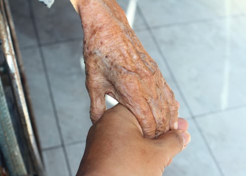 wrinkled elderly hands, holding hands, elderly hands photo