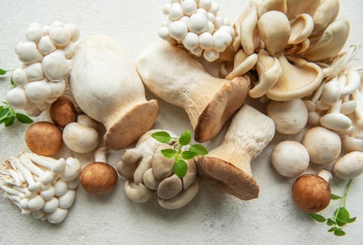 Assortment of various mushrooms photo