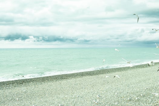 The picturesque coast of the Black Sea, the concept of sea travel and vacation. photo