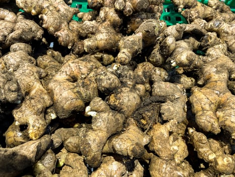 Texture of fresh ginger roots as food background photo