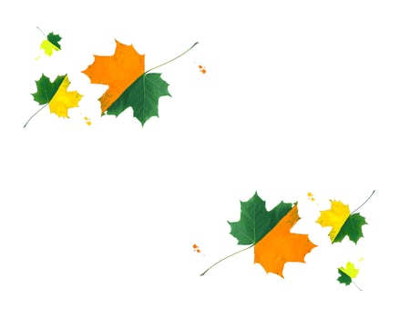 Bright maple leaves decorated with gouache paints on white background. Symmetrical creative autumn design. photo