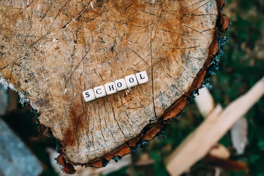 Word school of wooden alphabet beads on a tree stump surface in the forest. photo