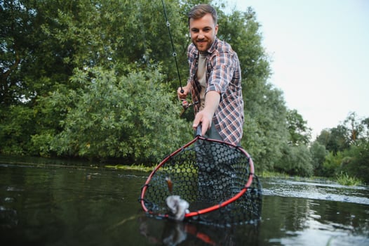 Fisherman picking up big rainbow trout from his fishing net photo