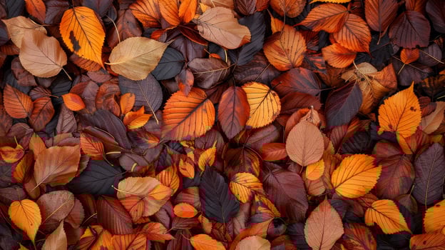 A pile of autumn leaves with a variety of colors photo