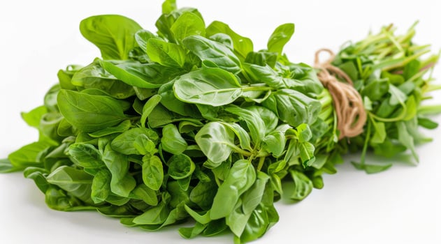Fresh Green Parsley Bunch Isolated On White Background photo