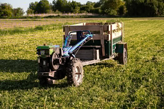 Agricultural mini-tractor with a trailer in a field on a sunny summer day. photo