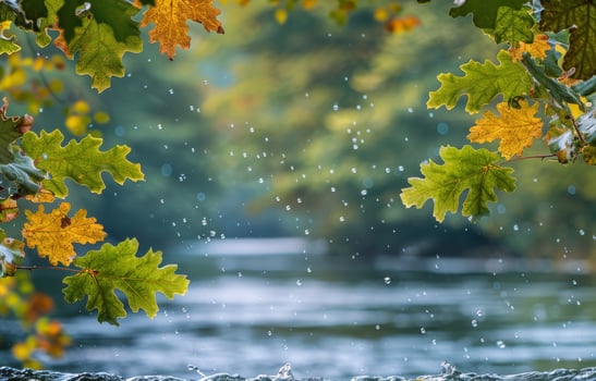 Golden Autumn Leaves Over a Quiet Forest River photo