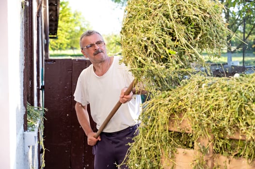 Senior man loading hay in front of his house on a sunny day photo