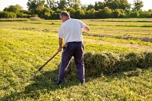 Mature man hoeing hay in the field on sunny day photo