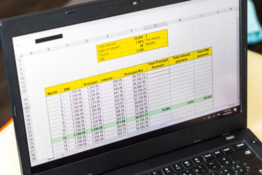 Shot of an excel sheet on computer screen showing bank loan amortization table. Accounting photo