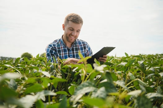 farmer agronomist in soybean field checking crops. Organic food production and cultivation photo