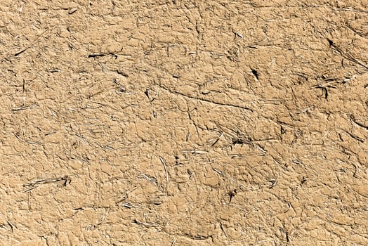 Textured plaster background to create a background or textures for the design photo