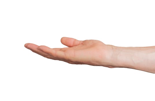 empty palm, hand gesture, sign isolated on white background photo