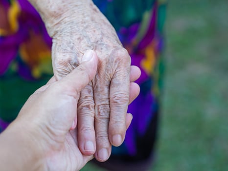 Daughter holding mother's hand while standing in a garden. Close-up photo. Space for text. Concept of aged people and healthcare photo