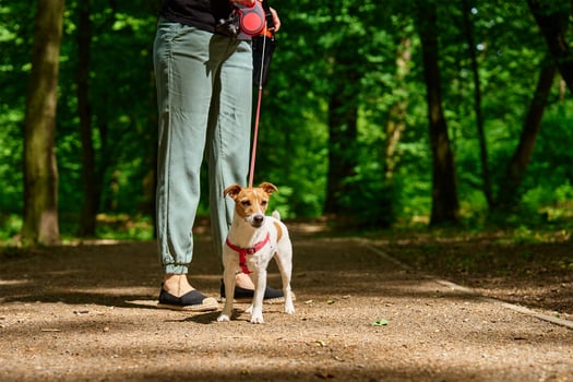 Woman Walking Dog in Park photo