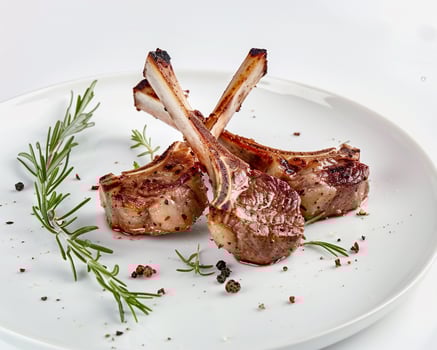 two lamb chops on a white plate with rosemary photo