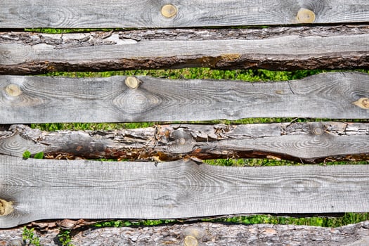 A close-up of a weathered grey wooden fence with green grass growing between the boards photo