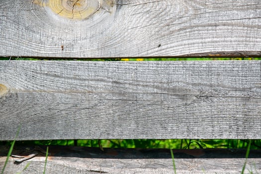 A close-up shot of two weathered wooden fence boards with a blurred green background photo