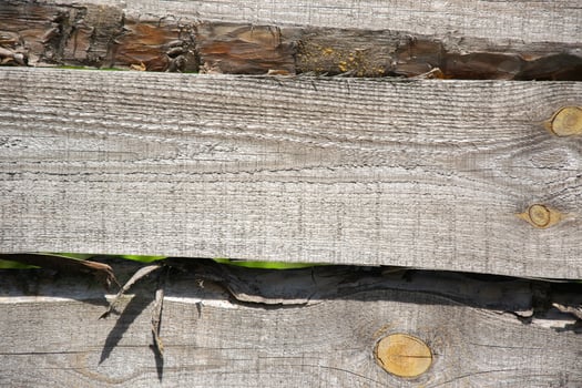 A close up of several weathered wooden fence boards photo