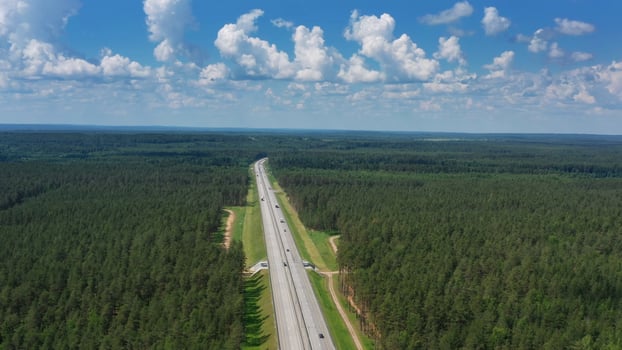 Aerial top view on country road in forest photo
