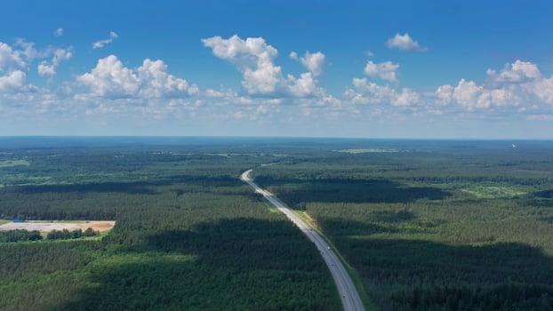 Aerial top view on country road in forest photo