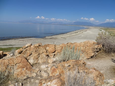 Great Salt Lake Shore, Antelope Island State Park, Utah, USA photo