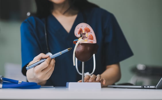 Portrait of young female doctor cardiologist working in office of modern clinic photo