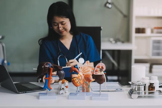 close-up of the doctor's hand anatomical model of human organs laptop online doctor's consultation. Didactic manual, online distance learning, online consultation, teacher photo