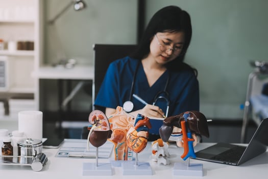 close-up of the doctor's hand anatomical model of human organs laptop online doctor's consultation. Didactic manual, online distance learning, online consultation, teacher photo