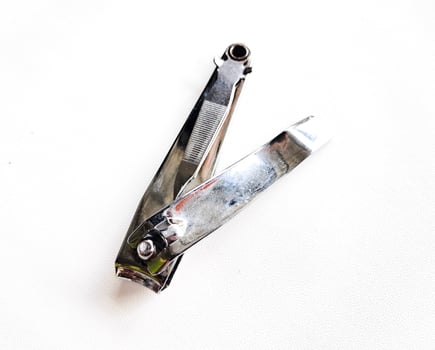 Cut nail clippers metal. Isolated on white background photo