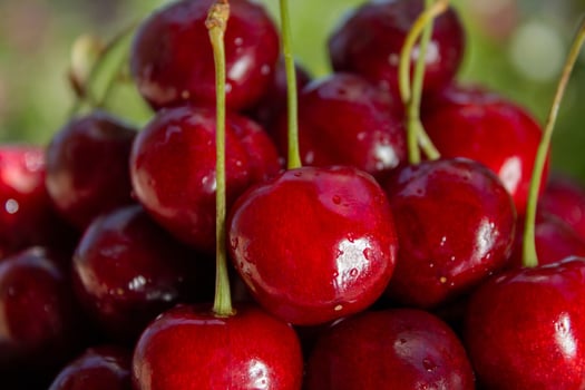 Fresh cherries close-up, with splashes of water, healthy eating concept, healthy lifestyle concept photo