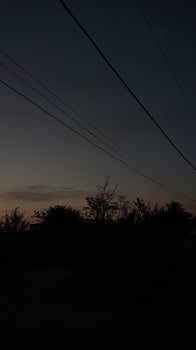 Silhouetted Power Lines and Trees Against a Tranquil Early Morning Sunrise Sky photo