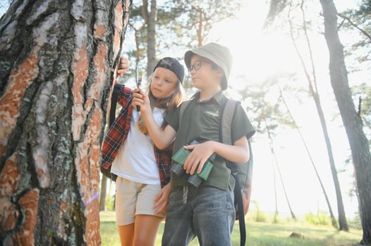 Kids exploring nature with magnifying glass. Summer activity for inquisitive child. photo