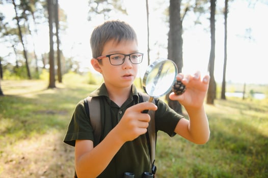 Boy biologist or entomologist studies nature. Scout in the forest. A teenager studies insects. Biology. Geology. Expedition in the forest photo