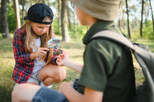 kids scouts in the forest. photo