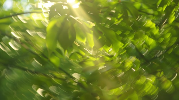 Defocused sunlight streams through a canopy of rustling leaves creating a mesmerizing dance of light and shadow. photo