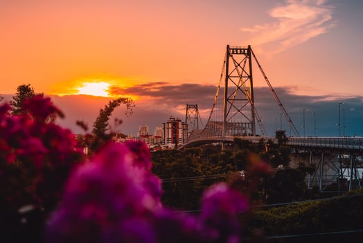 Hercilio luz cable stayed bridge with sunset tones and flowers in Florianopolis photo