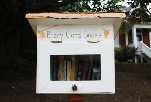 Toronto, Canada - August 23, 2017 - Cute free library box on the street photo