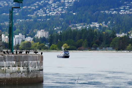 Vancouver, Canada - September 15, 2019 - Incident Lions Gate Bridge, police boat waiting under the Lions Gate Bridge, because the person want to jump from it photo
