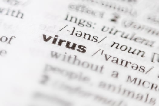 Virus - printed word in the dictionary photo