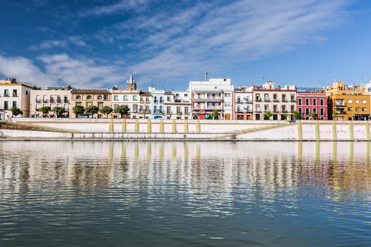 Betis treet by the Guadalquivir river, Seville, Spain photo