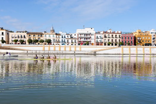 Betis treet by the Guadalquivir river, Seville, Spain photo