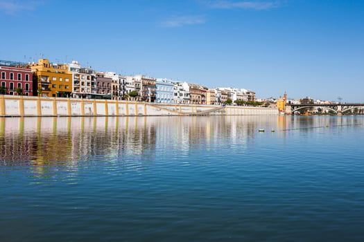 Betis treet by the Guadalquivir river, Seville, Spain photo