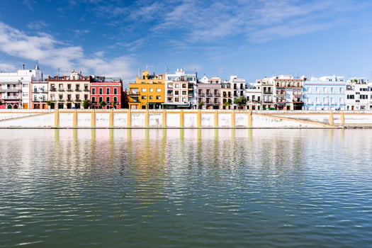 Betis treet by the Guadalquivir river, Seville, Spain photo