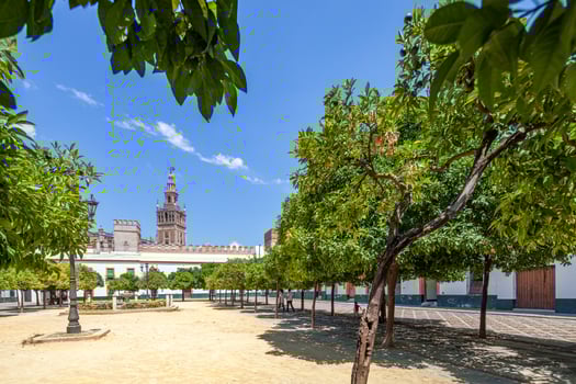 Historic Majesty Giralda Tower View from Patio de Banderas Square, Seville, Spain photo